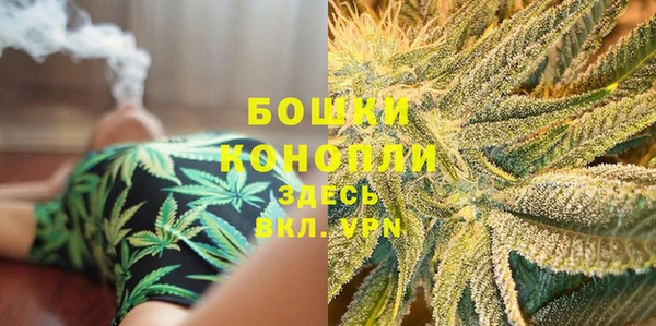 spice Аркадак