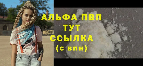 spice Аркадак