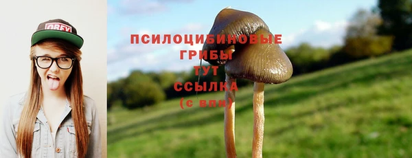 a pvp Армянск